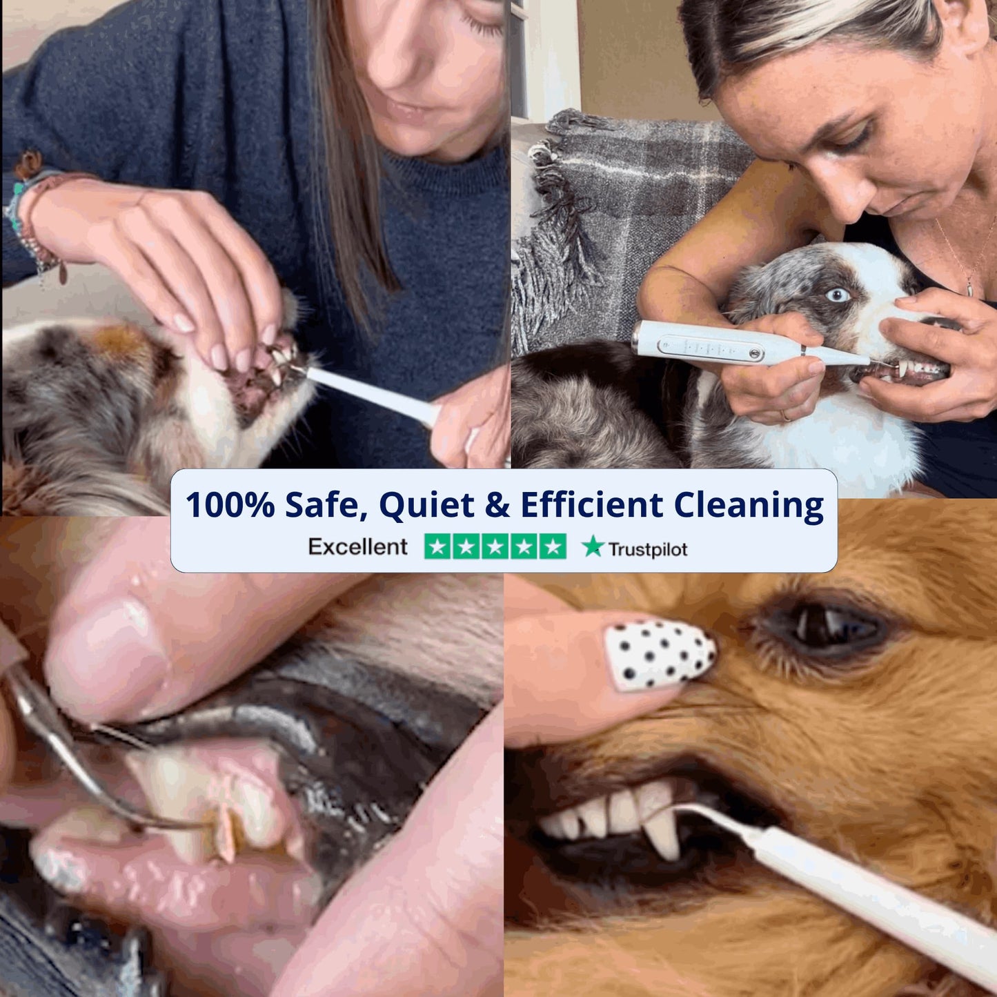 Silent Ultrasonic Plaque & Tartar Remover for dogs