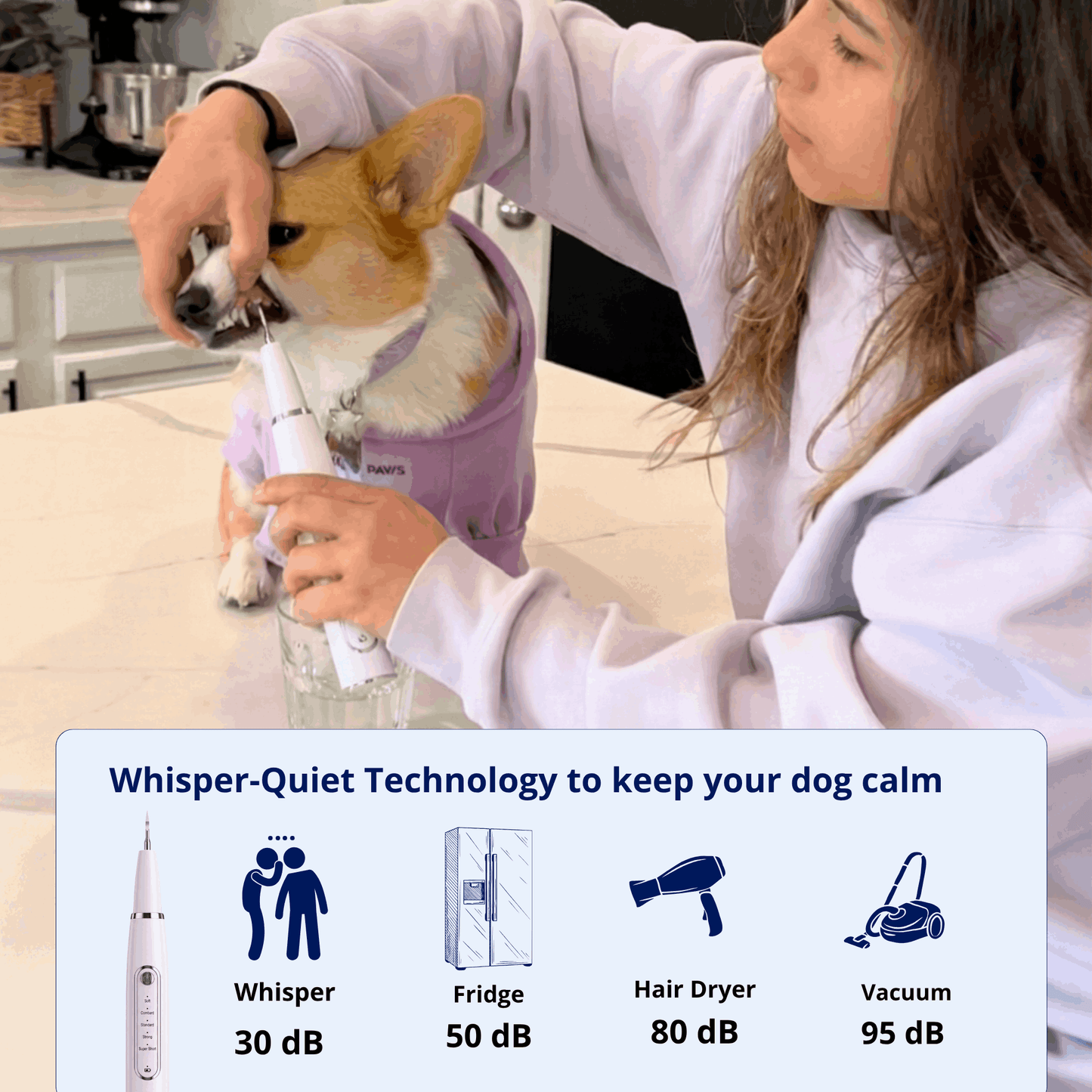 Silent Ultrasonic Plaque & Tartar Remover for dogs