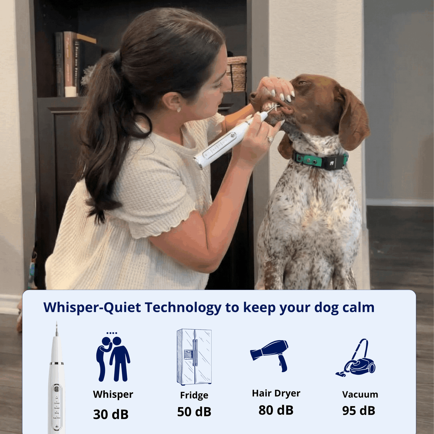Quiet dog dental cleaning at home