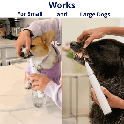 Canivet Kit - Silent Ultrasonic Plaque & Tartar Remover for dogs (99,90)
