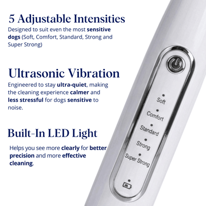 Canivet Kit - Silent Ultrasonic Plaque & Tartar Remover for dogs (99,90)