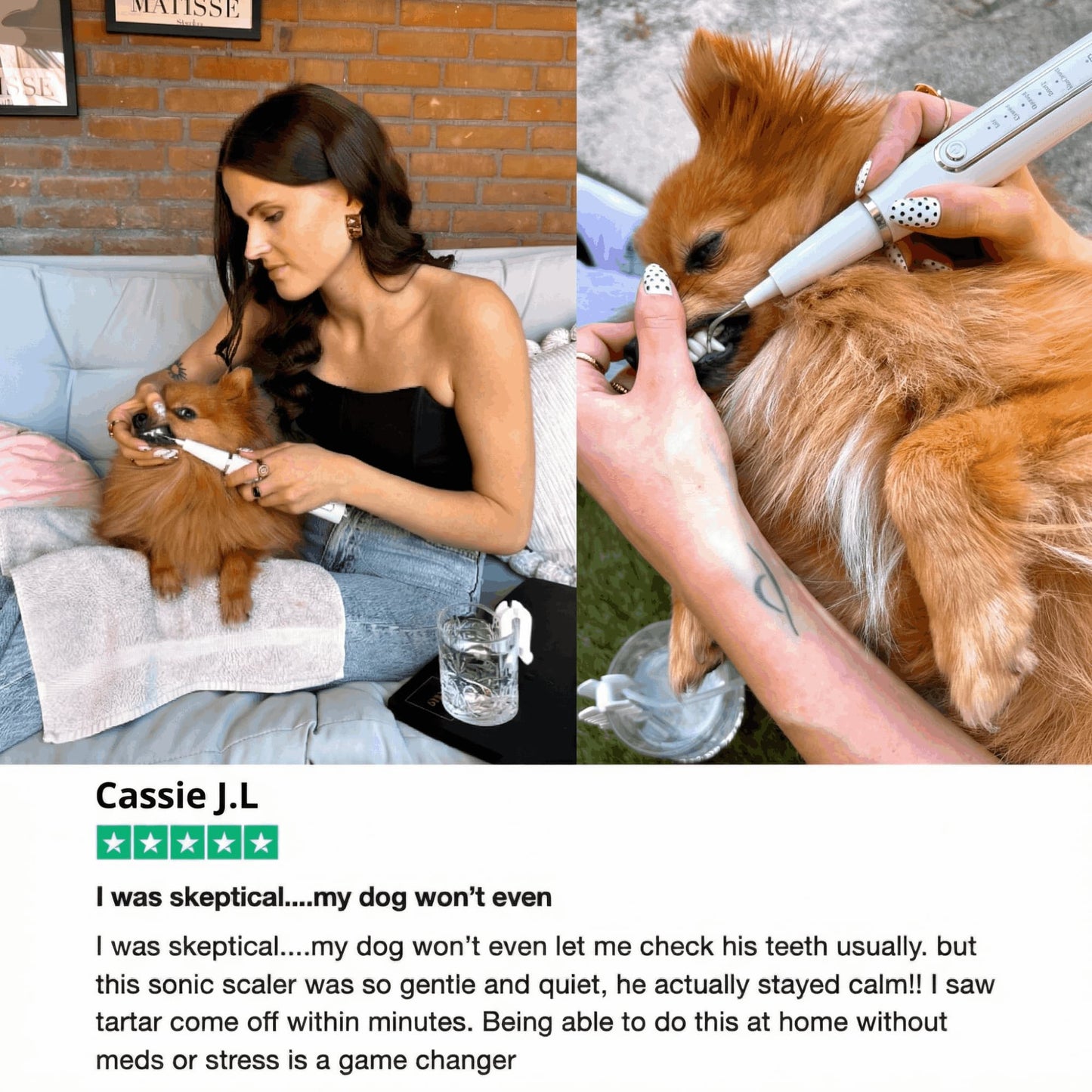 Canivet Kit - Silent Ultrasonic Plaque & Tartar Remover for dogs (99,90)