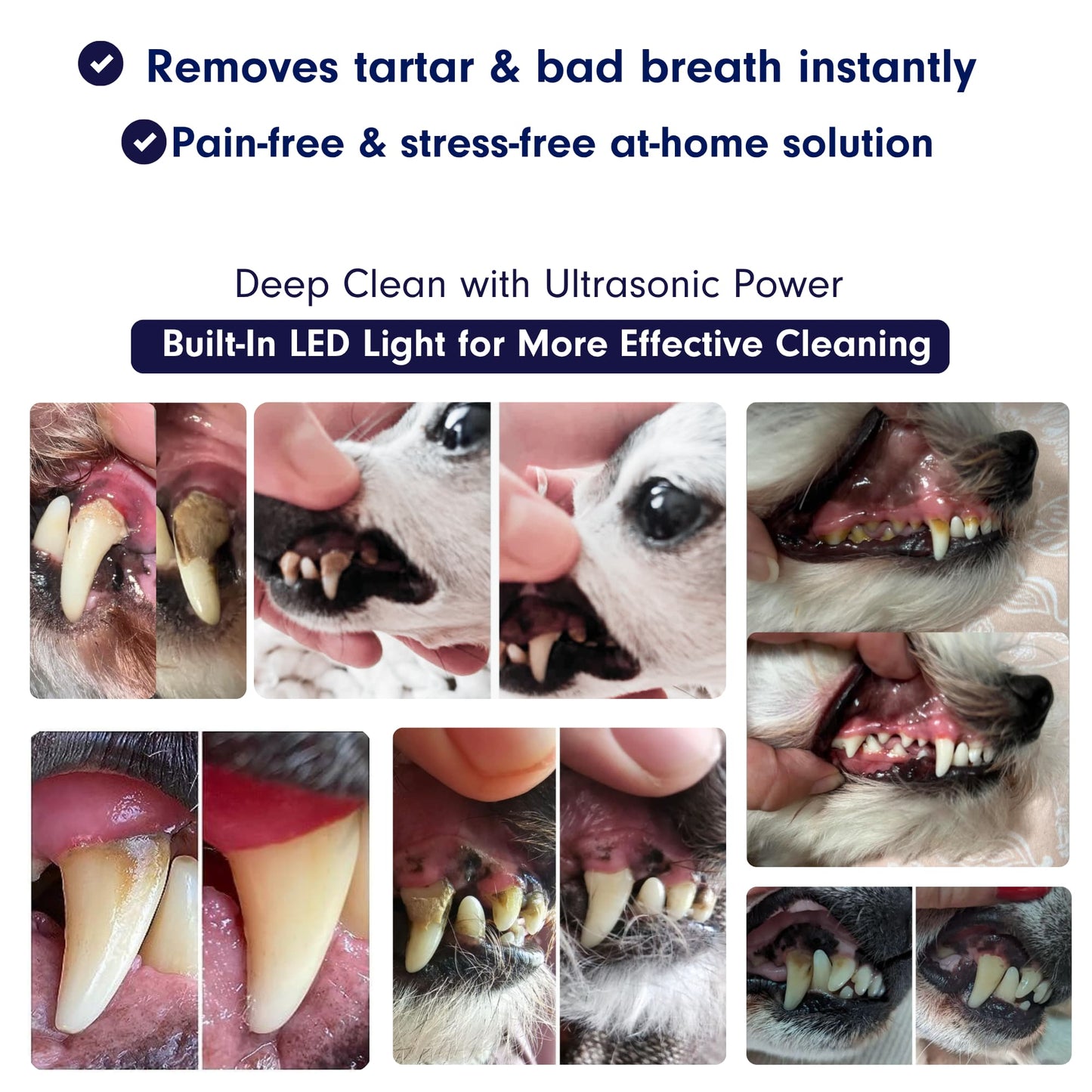 Silent Ultrasonic Plaque & Tartar Remover for dogs