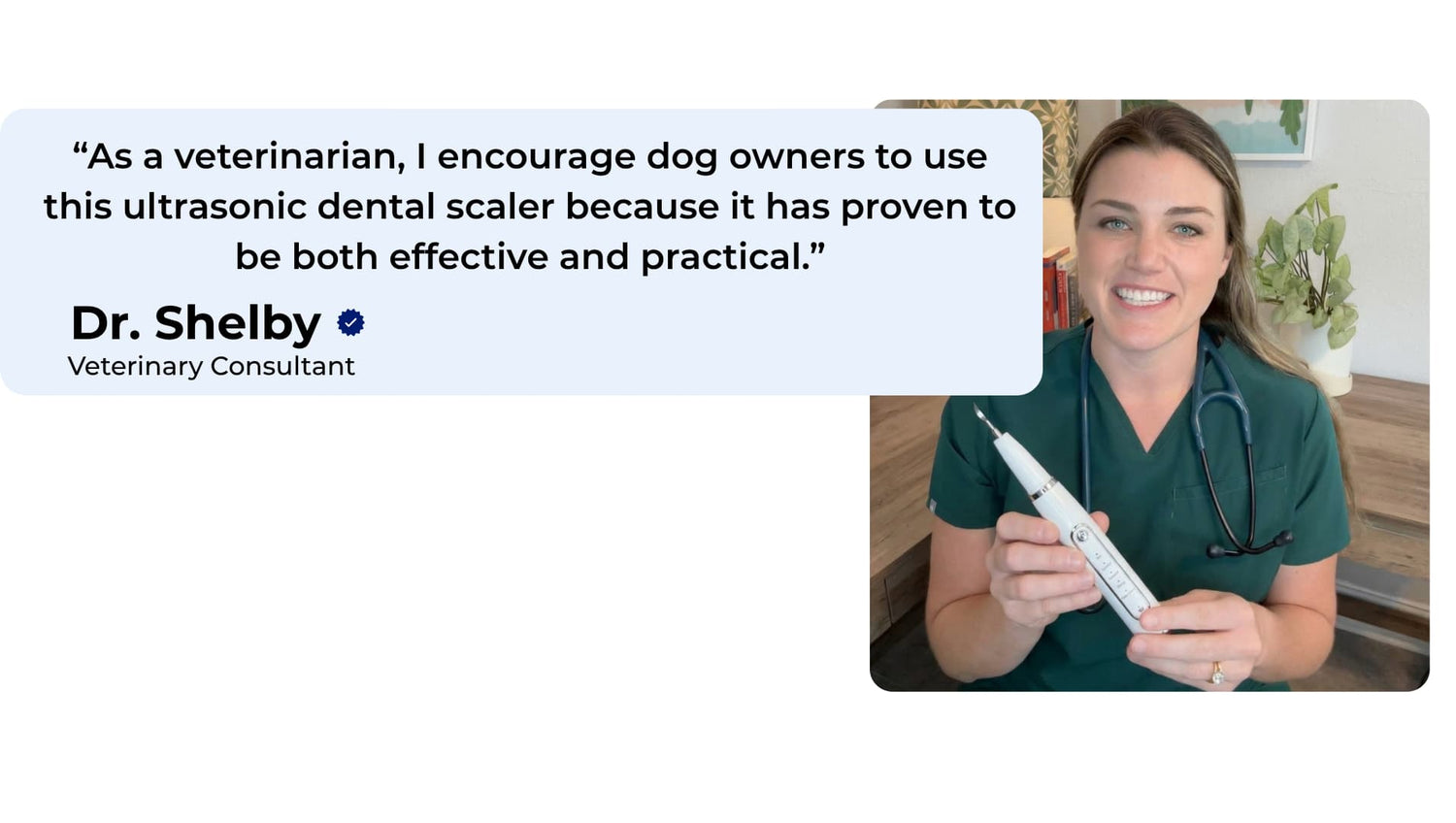 Complete ultrasonic dog dental cleaning kit