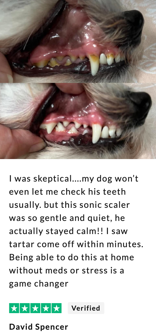 Customer result story 1