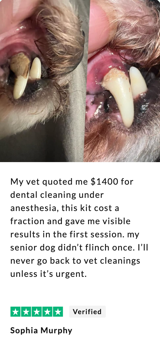 Customer result story 3
